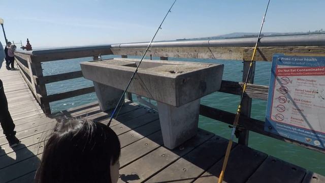 Fishing At Redondo Pier California Mackerel Part 2
