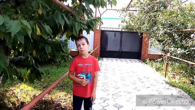 В мире животных. Кролики как домашние питомцы. смотреть онлайн