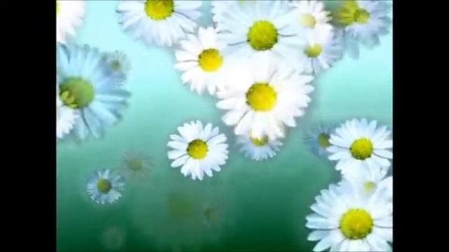 гр.Позитивное настроение смотреть онлайн
