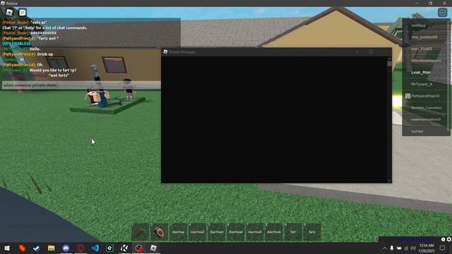 Roblox Private Chat Spy Script (MADE BY ME) смотреть онлайн