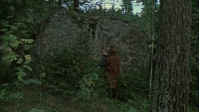 Степанова памятка