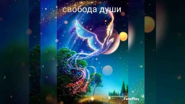 отсечение привязанностей. По итогам консультации / см описание смотреть онлайн