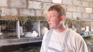 Продаю кроликов