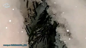 А на улице зима