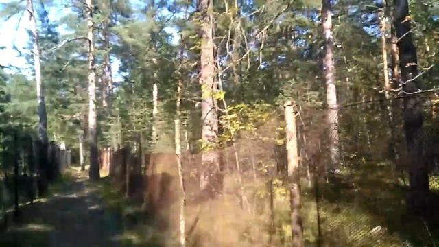 Большая ижора часть 1 смотреть онлайн