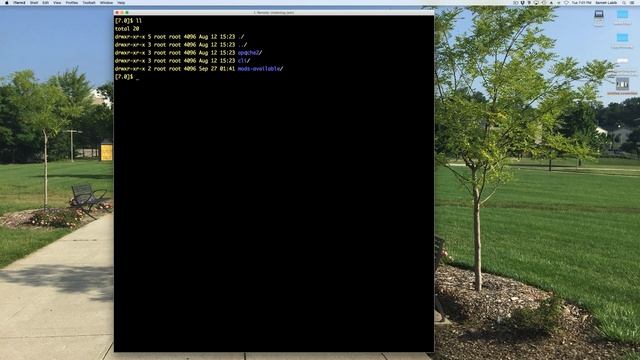 More Date and Time PHP Basics смотреть онлайн