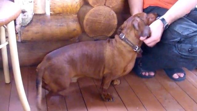 Балдёёёёёёёёёёёёёжжжжжжжжж