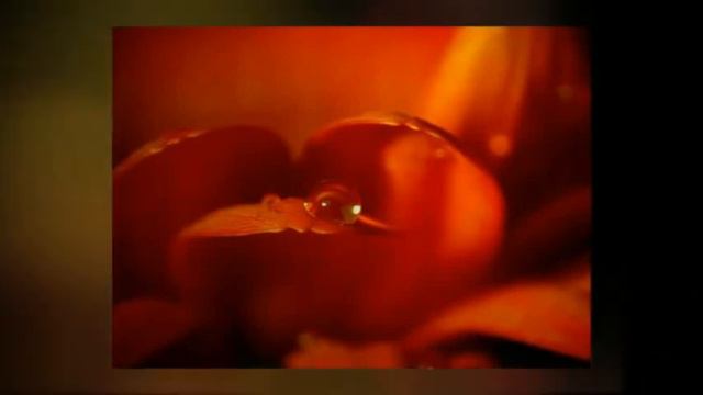 Afterlife/Cathy Battistessa - Shine (Chris Coco Mix) *k~kat chill café* SmoothLoft смотреть онлайн