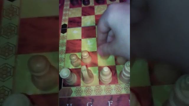 Моя даска как правильна раскладывать шахматы смотреть онлайн