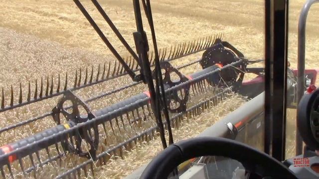 All New Case IH 8250 Axial-Flow Combine Harvesting Wheat смотреть онлайн