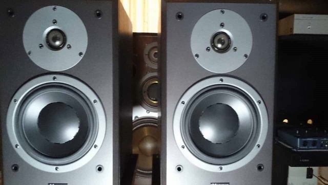 DYNAUDIO DM 2/7 Air Recording Carpenters Superstar