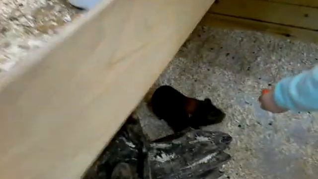 я в мини зоопарке смотреть онлайн
