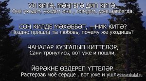 Татарские песни С ПЕРЕВОДОМ НА РУССКИЙ I ХУШ ИНДЕ / ПРОЩАЙ ЖЕ