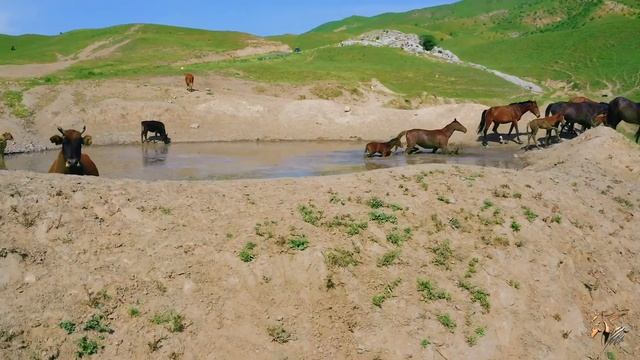 Бохтар - Хатлон - Таджикистан | Bokhtar - Khatlon - Tajikistan