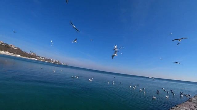 Одесса, пляж Золотой Берег// Прогулка по набережной(06 марта 2021г). Море и много релакса//Мальдивы смотреть онлайн