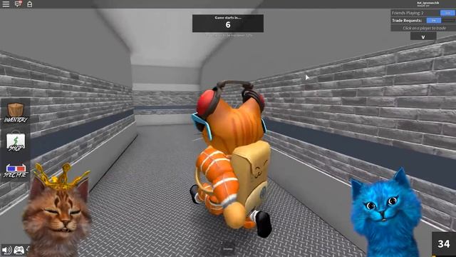 ЭТОТ ХИТРЫЙ КОТ ПОДСТАВИЛ МЕНЯ! Roblox Murder Mystery Котик Игроман и Котёнок Лайк Роблокс смотреть онлайн