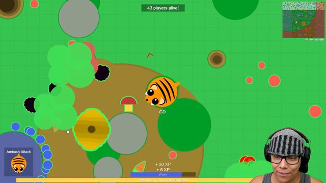 NOVO MODO BATTLE ROYALE - Mope.io смотреть онлайн
