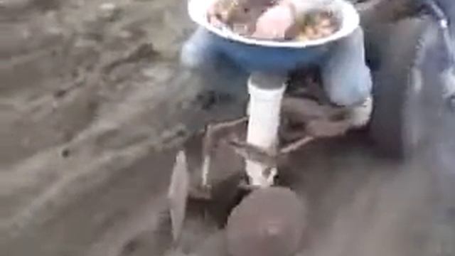картошку садит)) смотреть онлайн