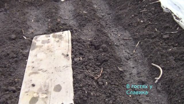 Самодельный Парник для Рассады Своими Руками.Выращивание Рассады в Домашних Условиях. смотреть онлайн