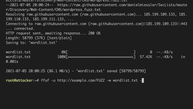 Using ffuf (fuzzer) to find backup & unreferenced files on WordPress websites | Melapress смотреть онлайн