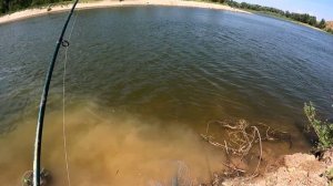 САЗАН на соску