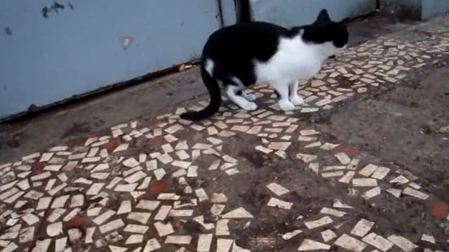 Голод не тетка еда важней смотреть онлайн