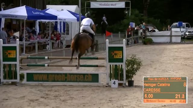 Heiniger-Pferde.com Holsteiner Stute von Caretan x Cor de la Bryere смотреть онлайн