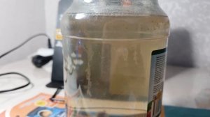 Инфузория туфелька. Разведение на банановой кожуре.