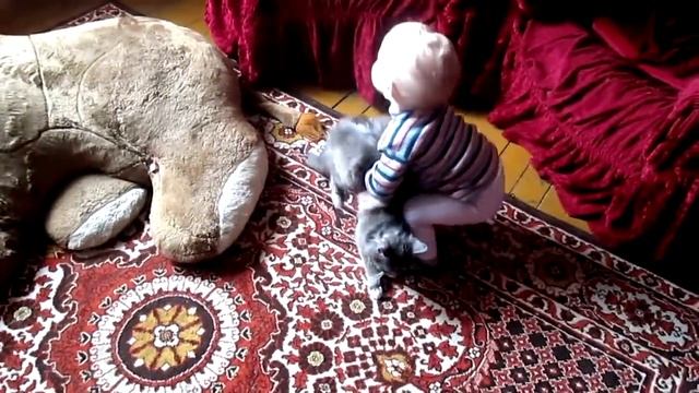 Ребёнок мучает кота смотреть онлайн
