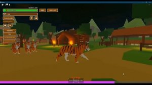 История Котёнка и Пантеры 3 серия в Animal Simulator/Roblox