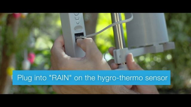 How to Set Up and Program the Holman iWeather Station смотреть онлайн