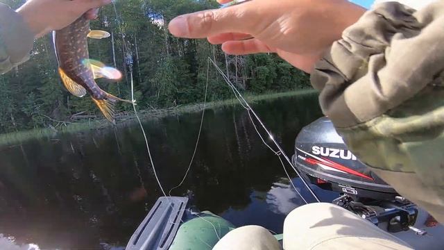 Рыбалка на лесном озере в глуши Ленинградской области, отличный клёв (окунь щука язь) смотреть онлайн