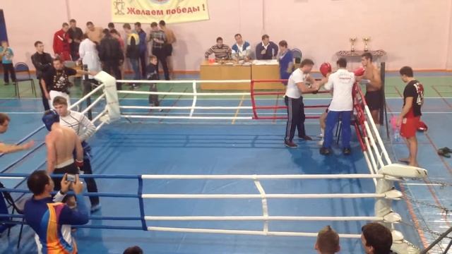 соревнования по кикбоксингу