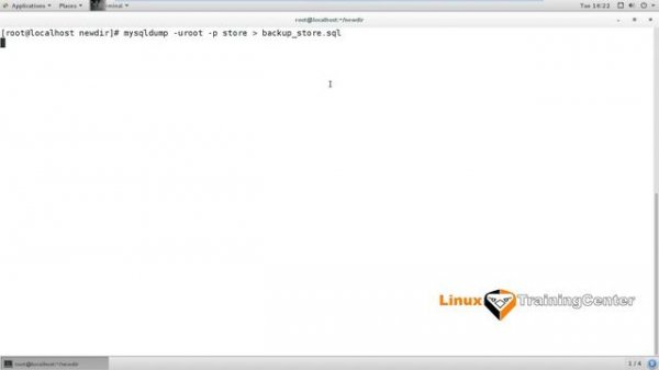 2.5 Создание файла Dump для MySQL | Linux для начинающих