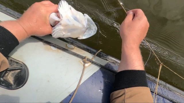 Рыбалка на Оби 16.09.2023-18.09.2023 год. смотреть онлайн