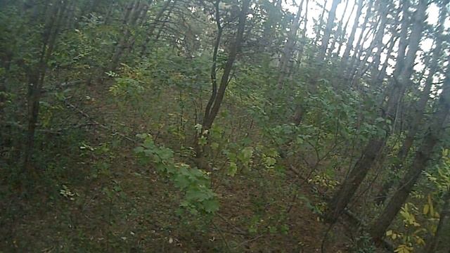 Заснял снежного человека? По следам йети#2 смотреть онлайн