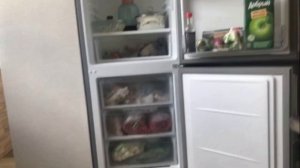 Холодильник Hotpoint Ariston HF 4200 S. Отзыв и обзор