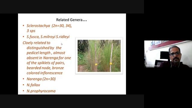 Sugarcane Genetic Resources смотреть онлайн