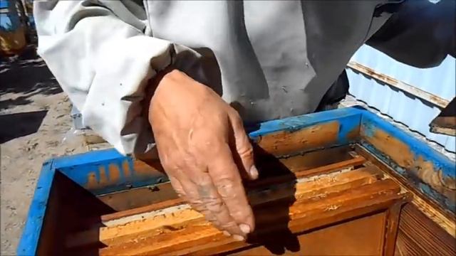 Одна из причин слёта пчёл осенью . смотреть онлайн