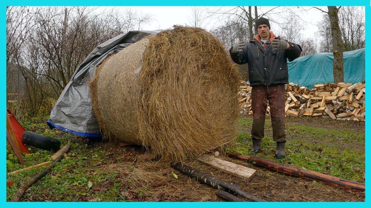 Новости "про воду": и радостные и не очень! Сено и ноябрьские деревенские будни! смотреть онлайн