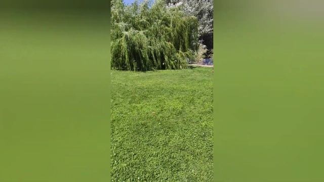 ПАРК ГОРЬКОГО ? МОСКВА ?️КУДА ПОЙТИ НА ВЫХОДНЫХ смотреть онлайн