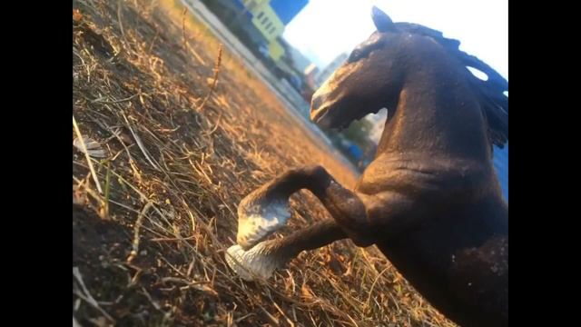 #фото с фотосессии!:3 смотреть онлайн