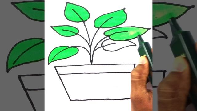 plant coloring kids | very easy drawing cute drawings English | toddlers coloring paintings drawing смотреть онлайн
