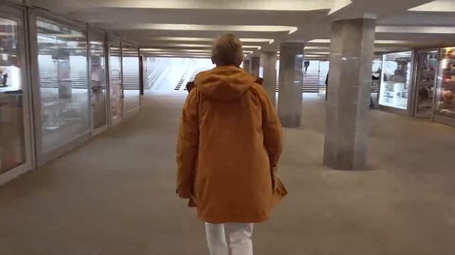 Путь в Камневеды от метро Проспект Мира (кольцевая) смотреть онлайн