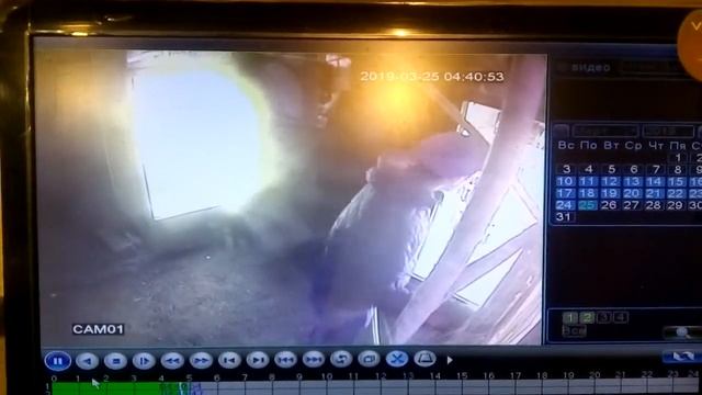 Липецкие халявщики