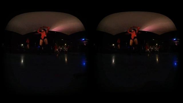 [3D VR DANCE] - GO GIRLS WILD PERFORMANCE 2 смотреть онлайн
