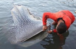 Приколы на рыбалке 2020 смех до слез / Пьяные на рыбалке / Трофейная рыбалка