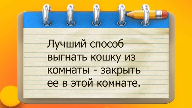✔️Если чёрная кошка перебежала дорогу в Москве, то...Ну привет. Заскучали , а я пришёл.с анекдотами смотреть онлайн