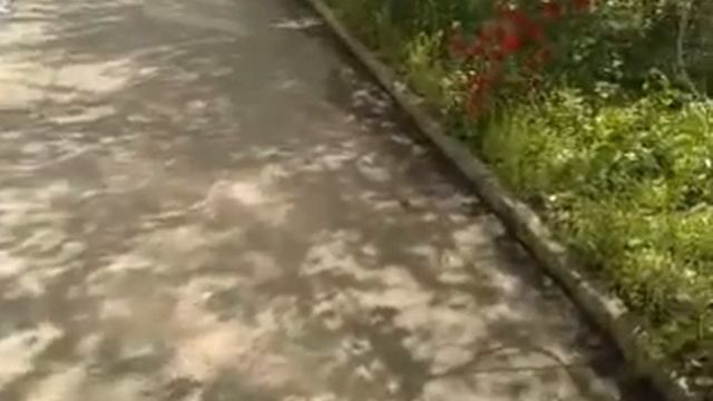 ремонт асфальтового покрытия дома часть 3. смотреть онлайн