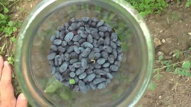 Анимационные Фильмы и Мультсериалы